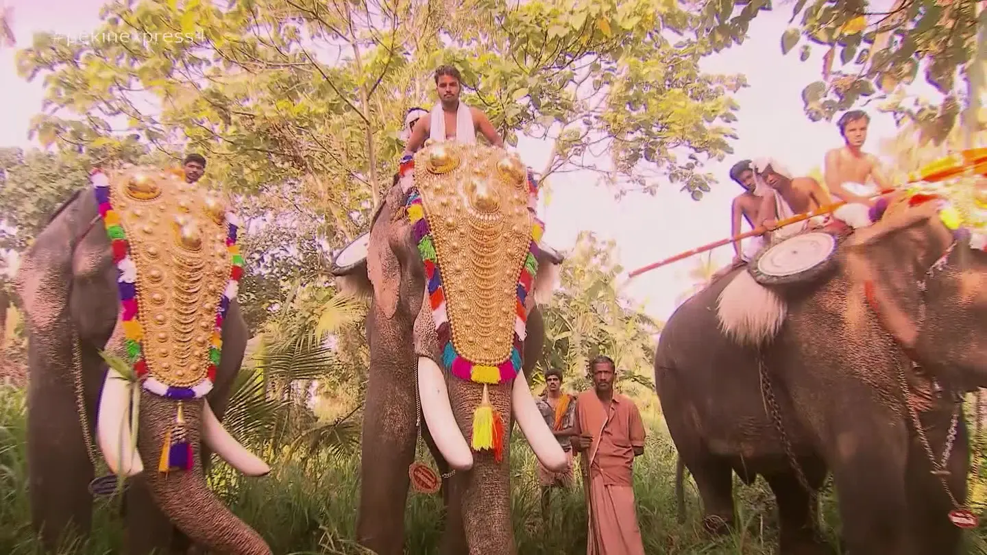 Los aventureros conocen la cultura de la India Los aventureros conocen la cultura de la India