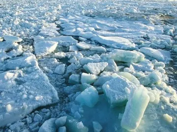 Cambio climático Cambio climático