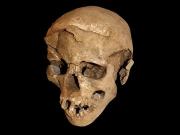 Hallazgos realizados en Nataruk Hallazgos realizados en Nataruk