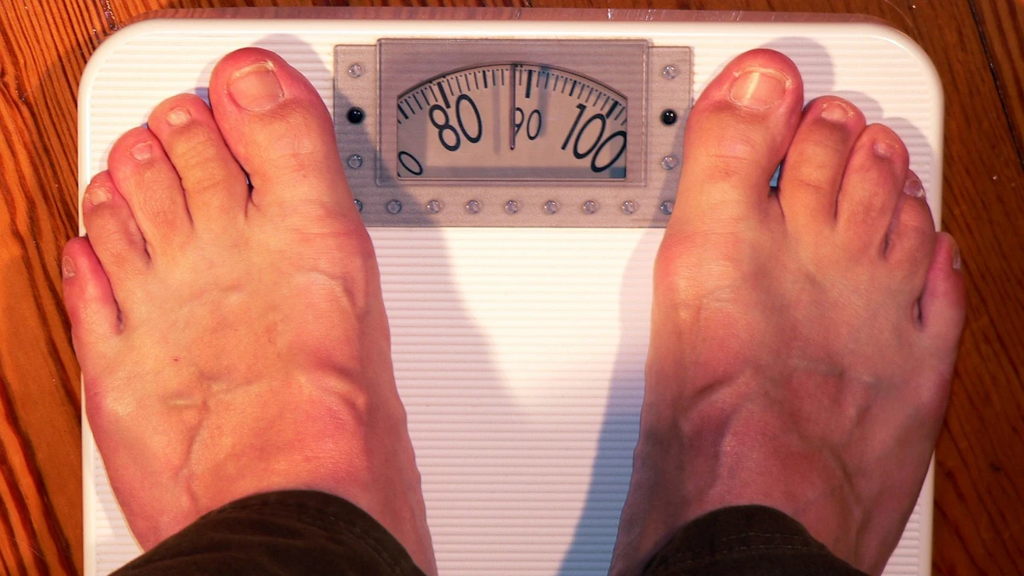 Científicos relacionan la obesidad con la exposición a los productos químicos Científicos relacionan la obesidad con la exposición a los productos químicos