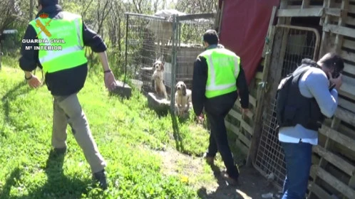 Miembros del Seprona en una operación