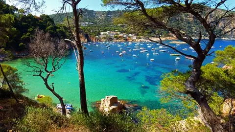 Cala de Aiguablava, en la Costa Brava Cala de Aiguablava, en la Costa Brava
