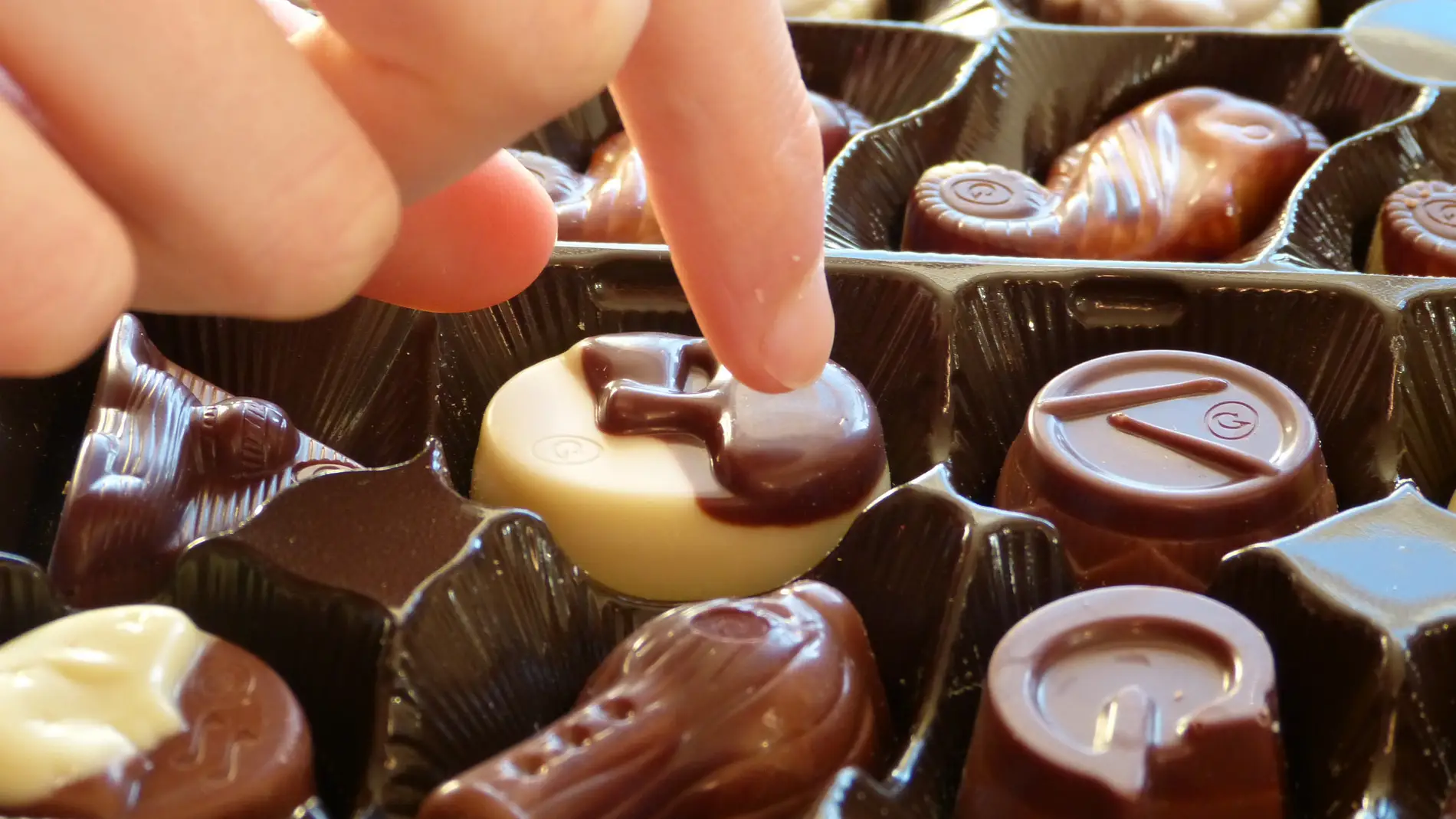 Distintos tipos de chocolate