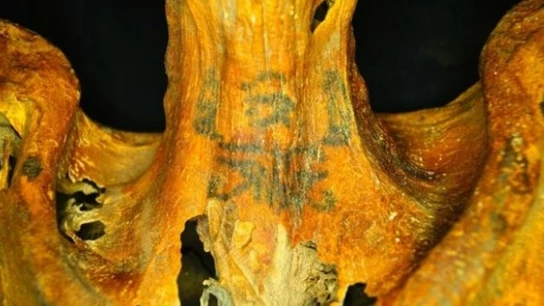 Imagen del cuello tatuado de la momia Imagen del cuello tatuado de la momia