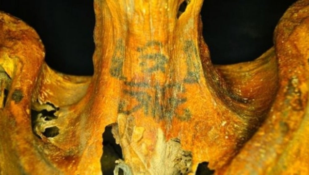 Imagen del cuello tatuado de la momia