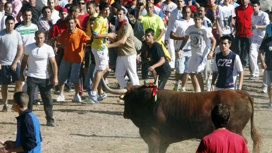 Participantes en el encierro del torneo del Toro de la Vega en 2014 Participantes en el encierro del torneo del Toro de la Vega en 2014