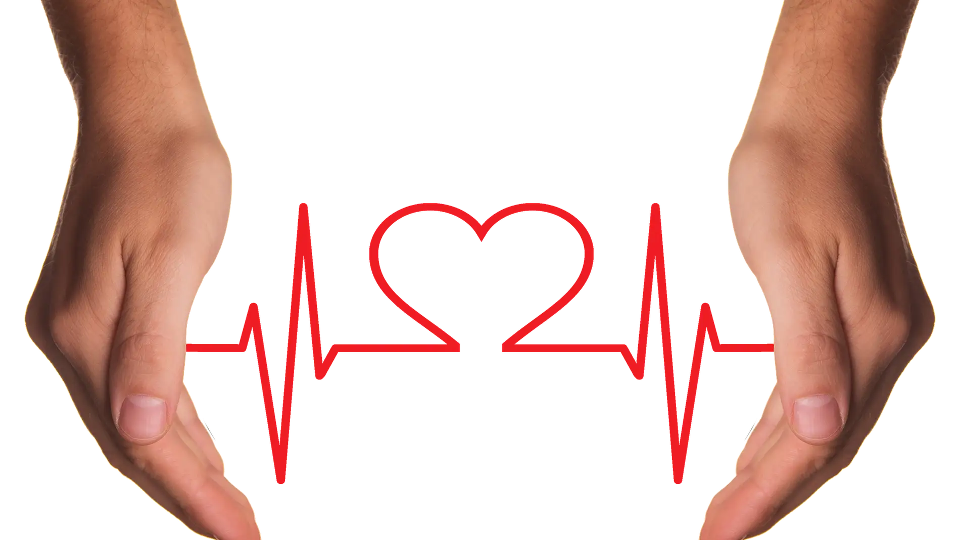 Científicos estadounidenses regeneran un músculo cardiaco con prepucio humano