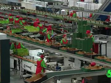 Fábrica de alimentos ecológicos Fábrica de alimentos ecológicos
