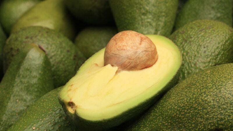 Los primeros aztecas salvaron al aguacate de extinguirse con los dinosaurios