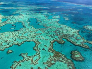 Fotografía facilitada por la Autoridad del Parque Marino de la Gran Barrera de Coral, frente a la costa noreste de Australia 