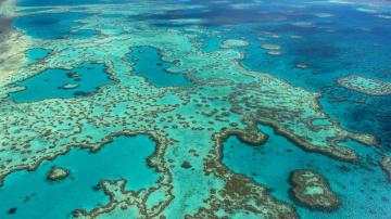Fotografía facilitada por la Autoridad del Parque Marino de la Gran Barrera de Coral, frente a la costa noreste de Australia