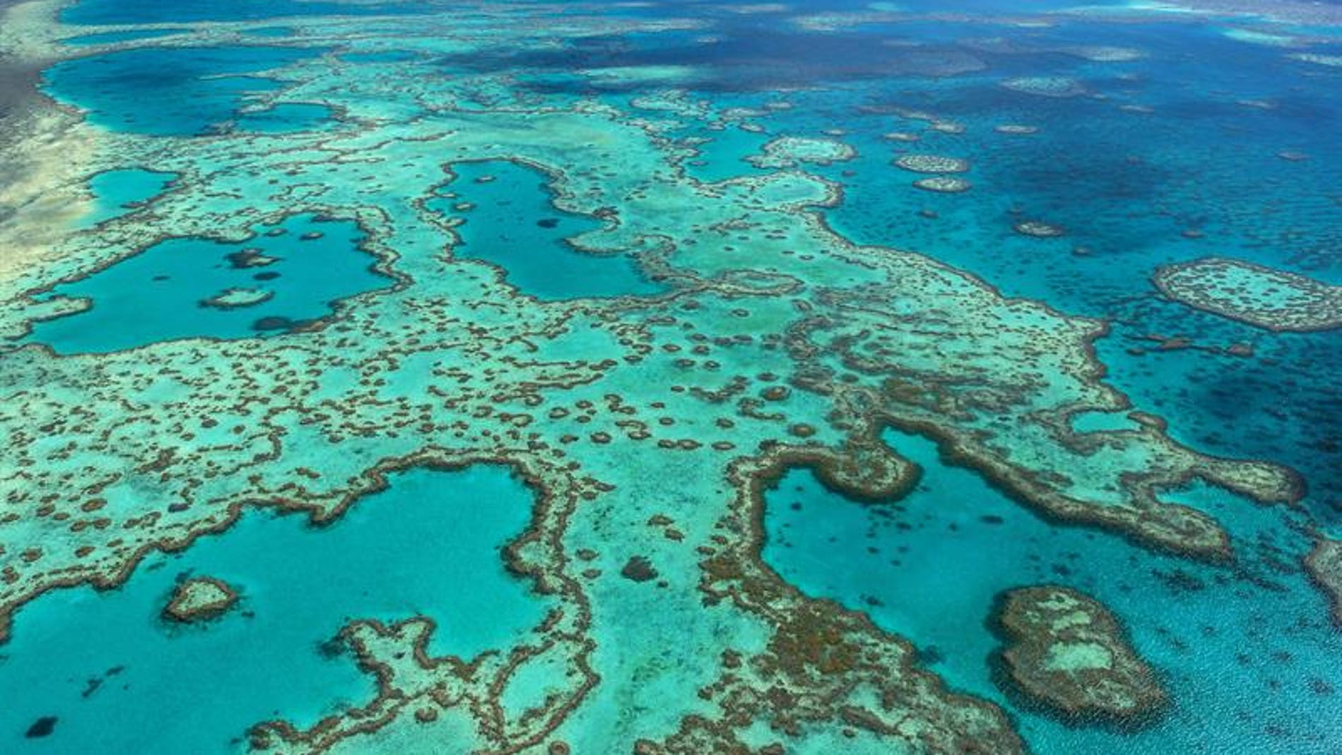 Fotografía facilitada por la Autoridad del Parque Marino de la Gran Barrera de Coral, frente a la costa noreste de Australia