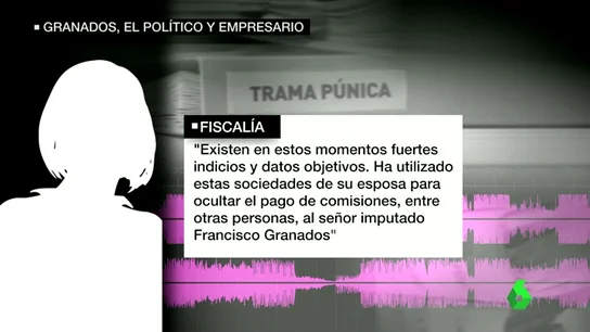 Frame 41.663231 de: Ignacio Palacios, el testaferro de Granados, tenía hasta doce empresas para esconder las mordidas Frame 41.663231 de: Ignacio Palacios, el testaferro de Granados, tenía hasta doce empresas para esconder las mordidas