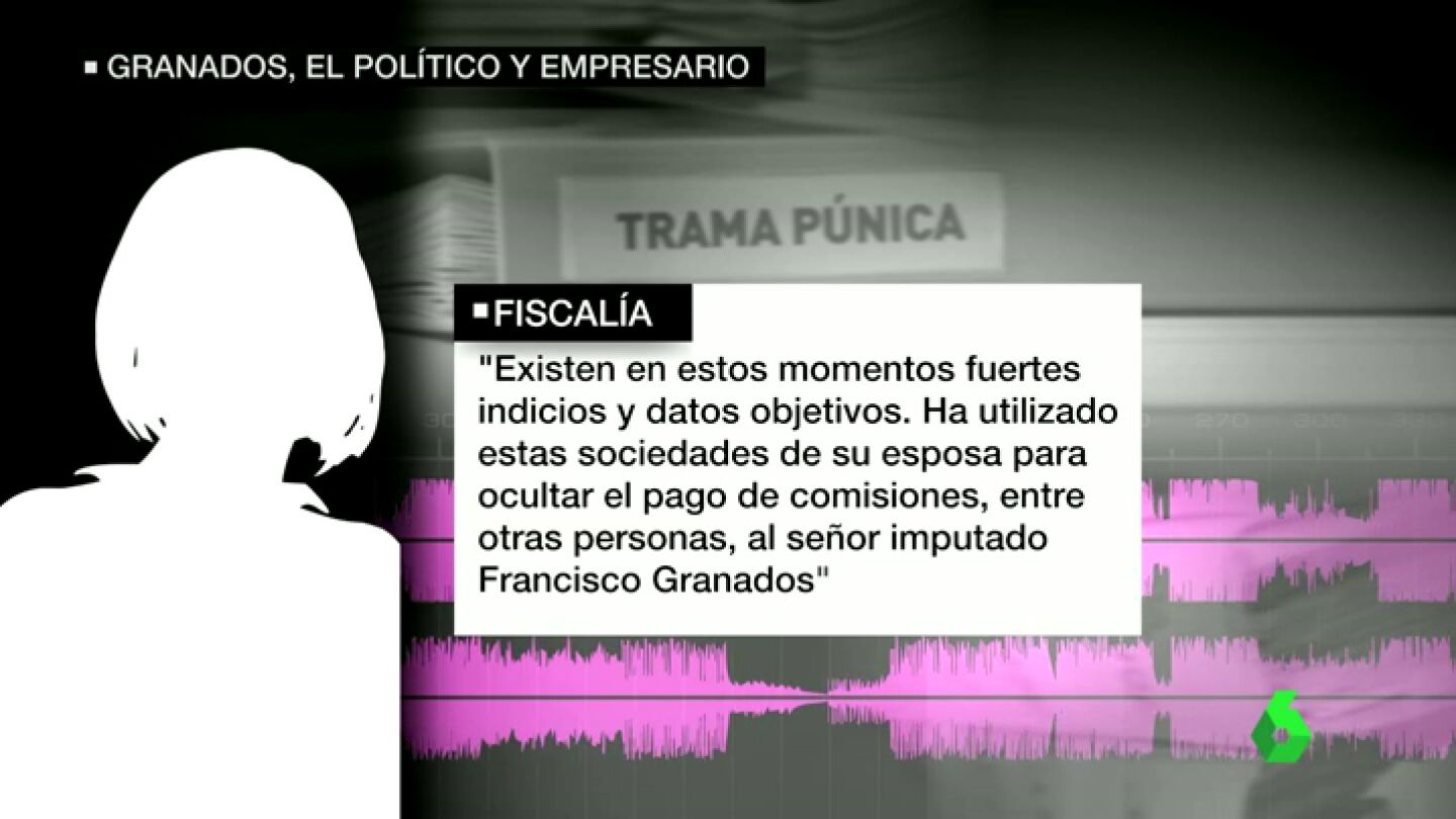 Frame 41.663231 de: Ignacio Palacios, el testaferro de Granados, ten&iacute;a hasta doce empresas para esconder las mordidas