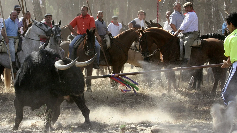 Celebración del Toro de la Vega del año 2006