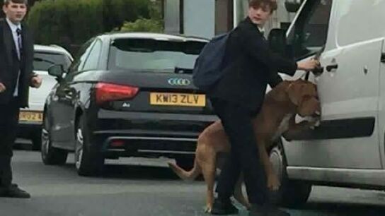 El joven descolgando al perro