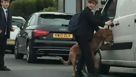 El joven descolgando al perro