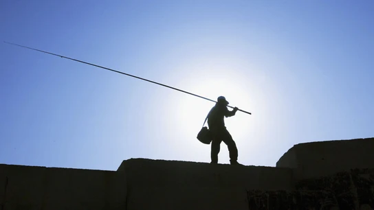 Día soleado Día soleado