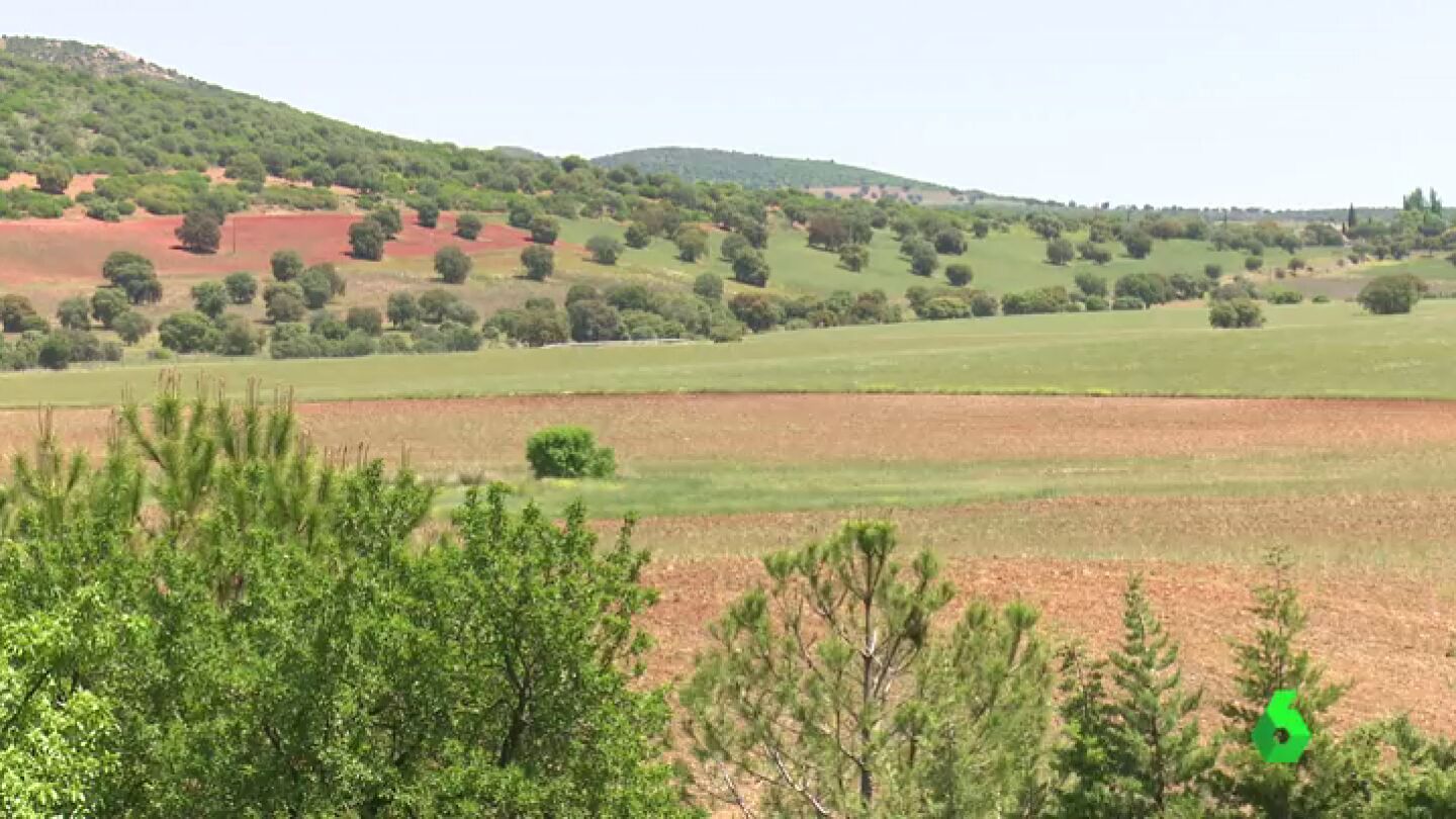 Frame 0.0 de: El enclave natural del Campo de Montiel peligra por la monacita: "Ser&aacute; un infierno, el polvo tendr&aacute; radioactividad"