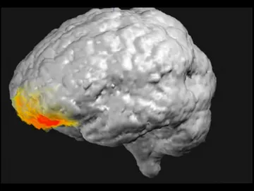 La actividad cerebral tras una experiencia religiosa La actividad cerebral tras una experiencia religiosa
