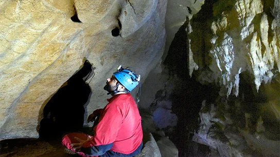 Tesoro arqueológico en Bizkaia Tesoro arqueológico en Bizkaia