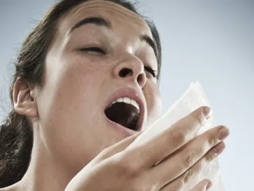 Estornudos Estornudos