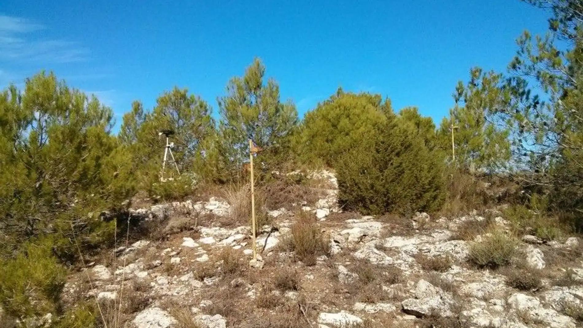 Red terrena desplegada durante una jorna