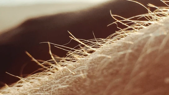 Orgasmo de piel Orgasmo de piel