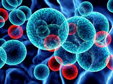Leucemia Leucemia
