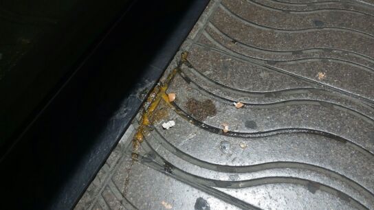 Lanzan, sin &eacute;xito, un huevo a Rivera durante su primer paseo de campa&ntilde;a