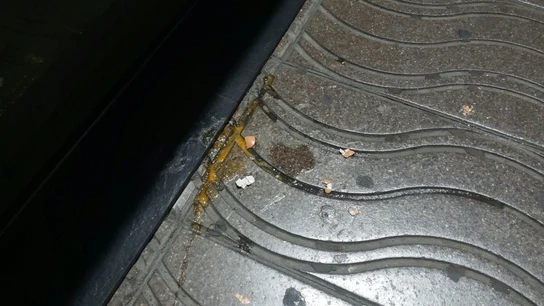 Lanzan, sin éxito, un huevo a Rivera durante su primer paseo de campaña Lanzan, sin éxito, un huevo a Rivera durante su primer paseo de campaña