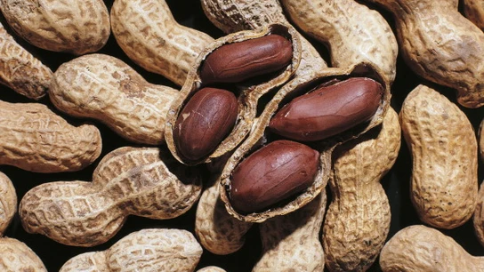 Cacahuetes Cacahuetes