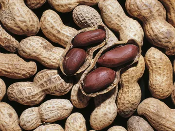 Cacahuetes Cacahuetes