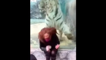 Mujer en el zoológico de Rusia