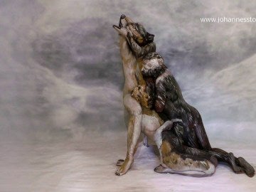 El lobo creado por el artista a través del body painting El lobo creado por el artista a través del body painting