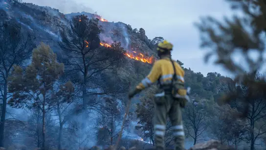 Doscientas personas trabajaban en la extinción Doscientas personas trabajaban en la extinción