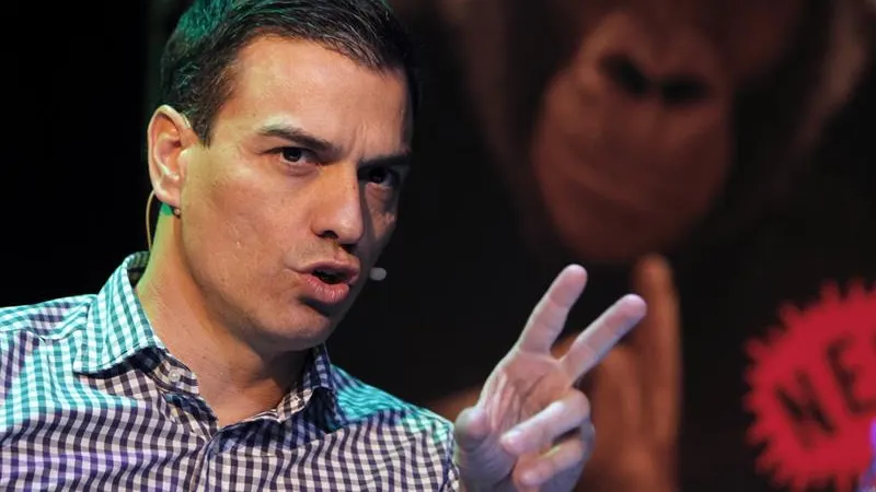 Pedro Sánchez, secretario general del PSOE