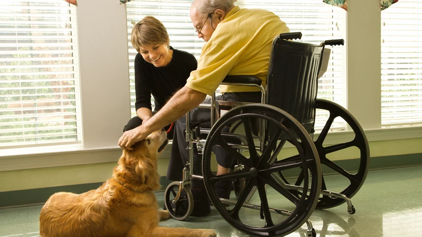 Un perro con una persona mayor