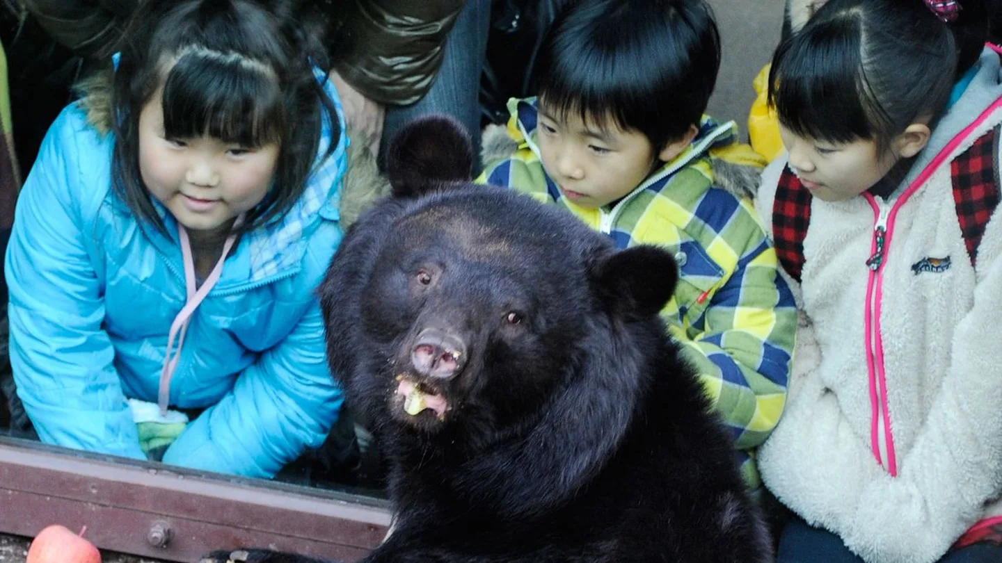 Un grupo de niños observan a un oso negro en un zoológico de Tokio Un grupo de niños observan a un oso negro en un zoológico de Tokio