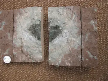 El meteorito que han encontrado El meteorito que han encontrado
