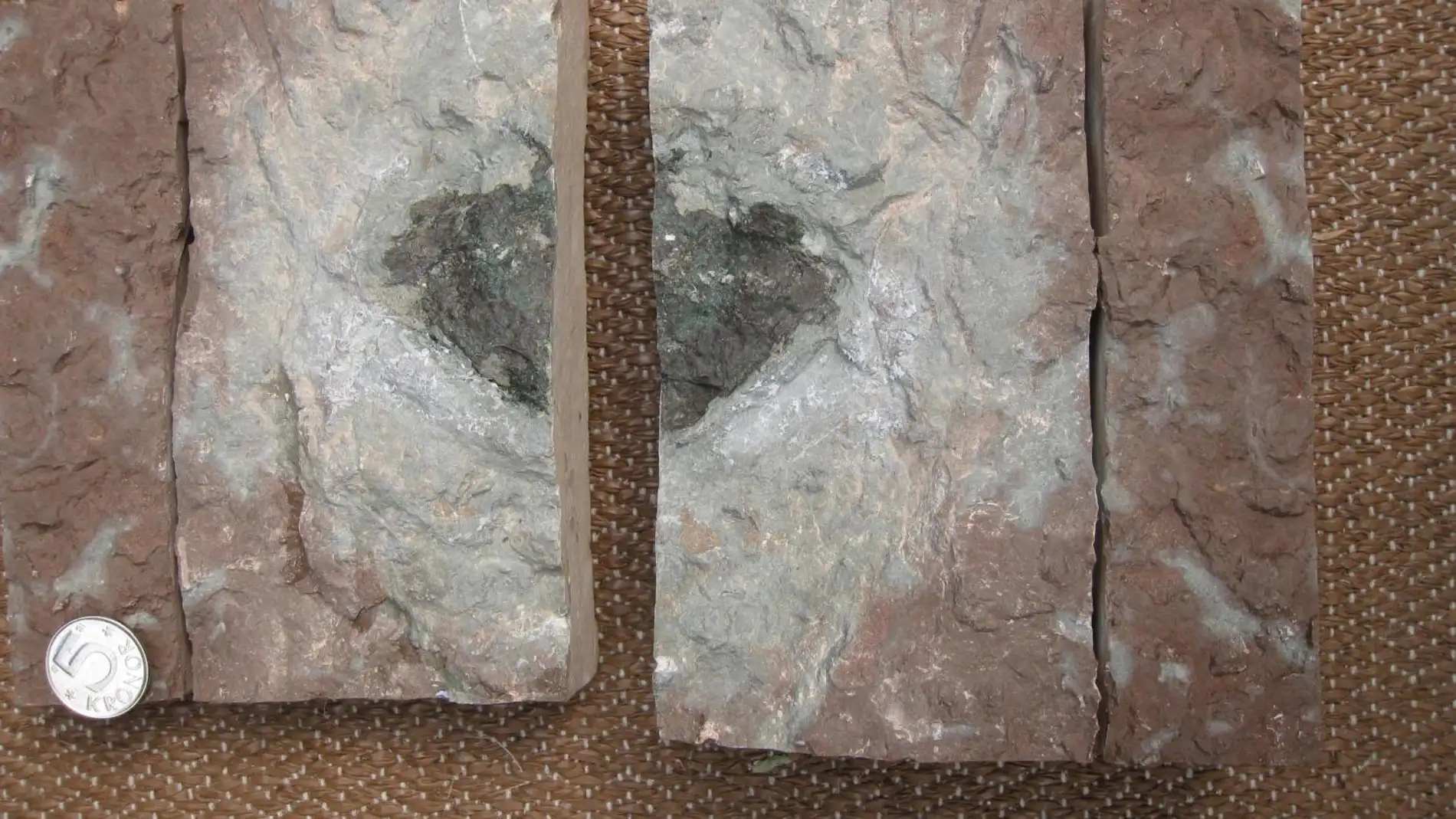El meteorito que han encontrado