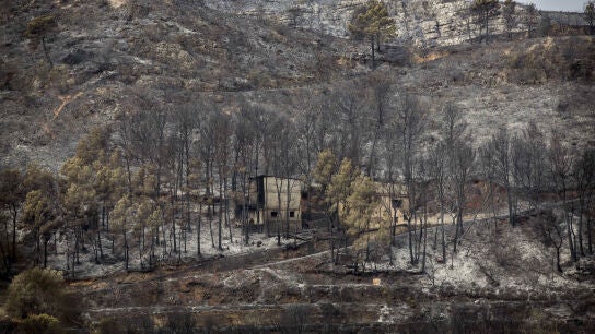 Controlado el incendio de Bolbaite y evoluciona favorablemente el de Carcaixent
