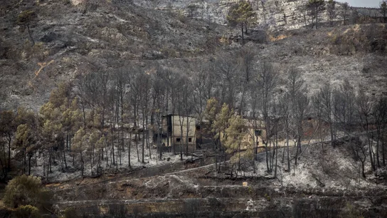Controlado el incendio de Bolbaite y evoluciona favorablemente el de Carcaixent Controlado el incendio de Bolbaite y evoluciona favorablemente el de Carcaixent