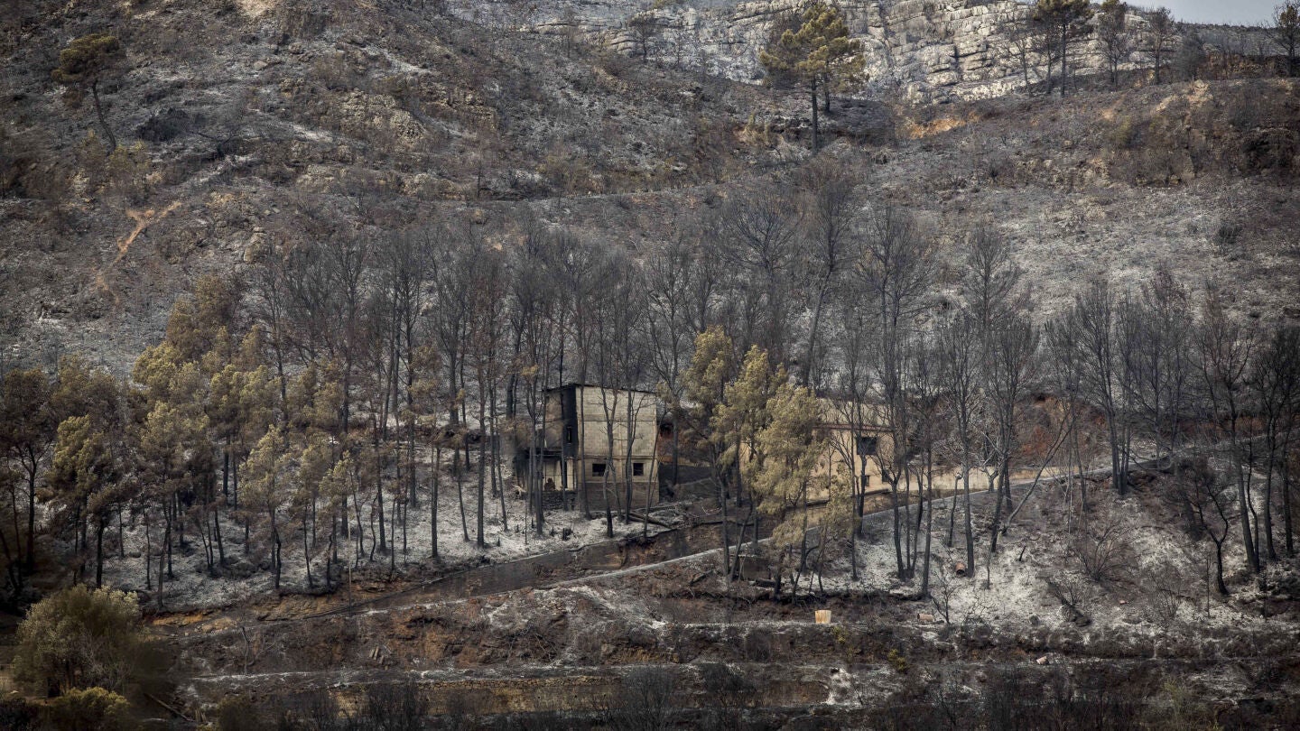 Controlado el incendio de Bolbaite y evoluciona favorablemente el de Carcaixent