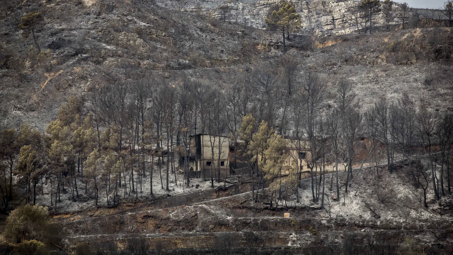 Controlado el incendio de Bolbaite y evoluciona favorablemente el de Carcaixent Controlado el incendio de Bolbaite y evoluciona favorablemente el de Carcaixent
