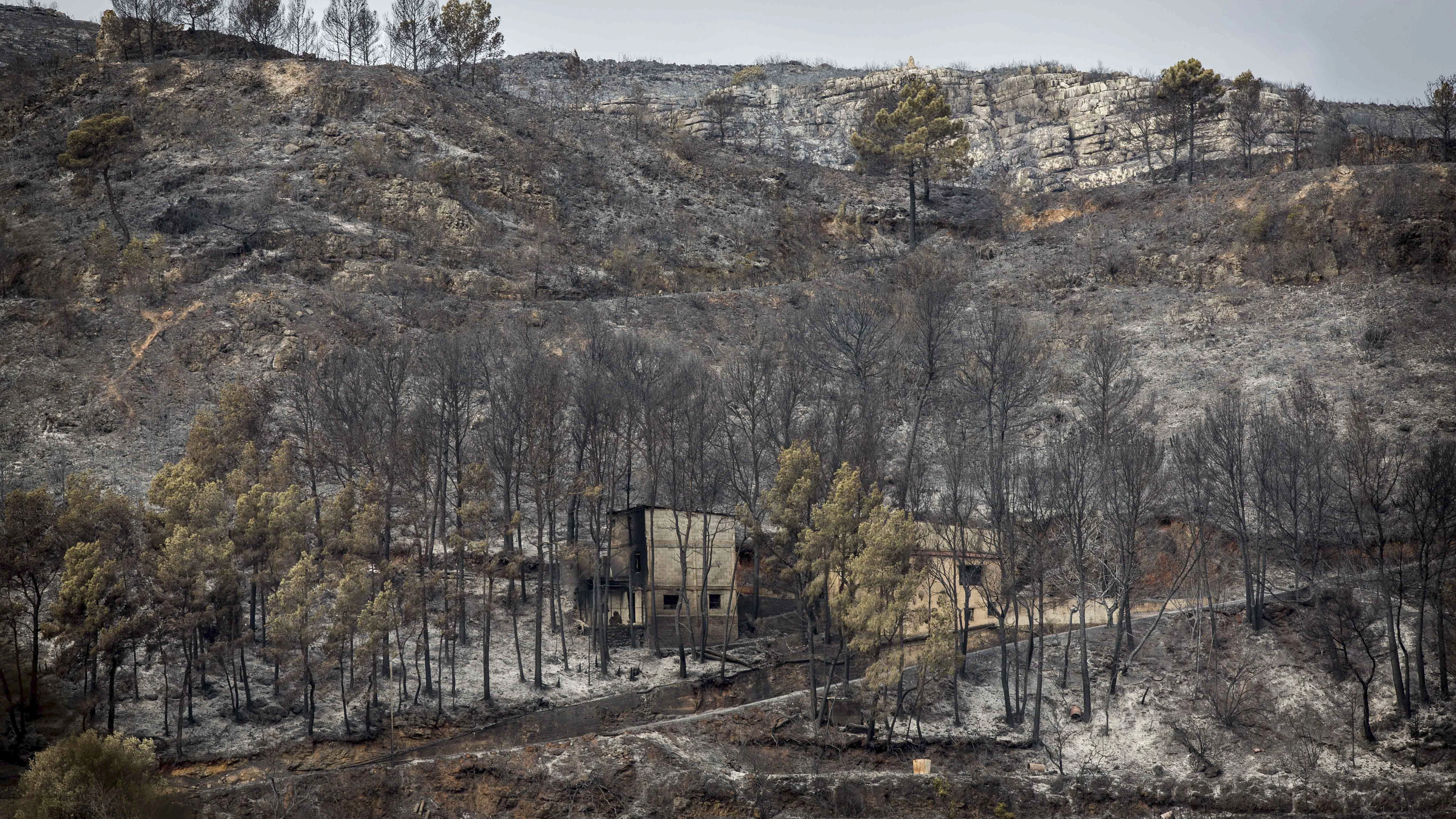 Controlado el incendio de Bolbaite y evoluciona favorablemente el de Carcaixent
