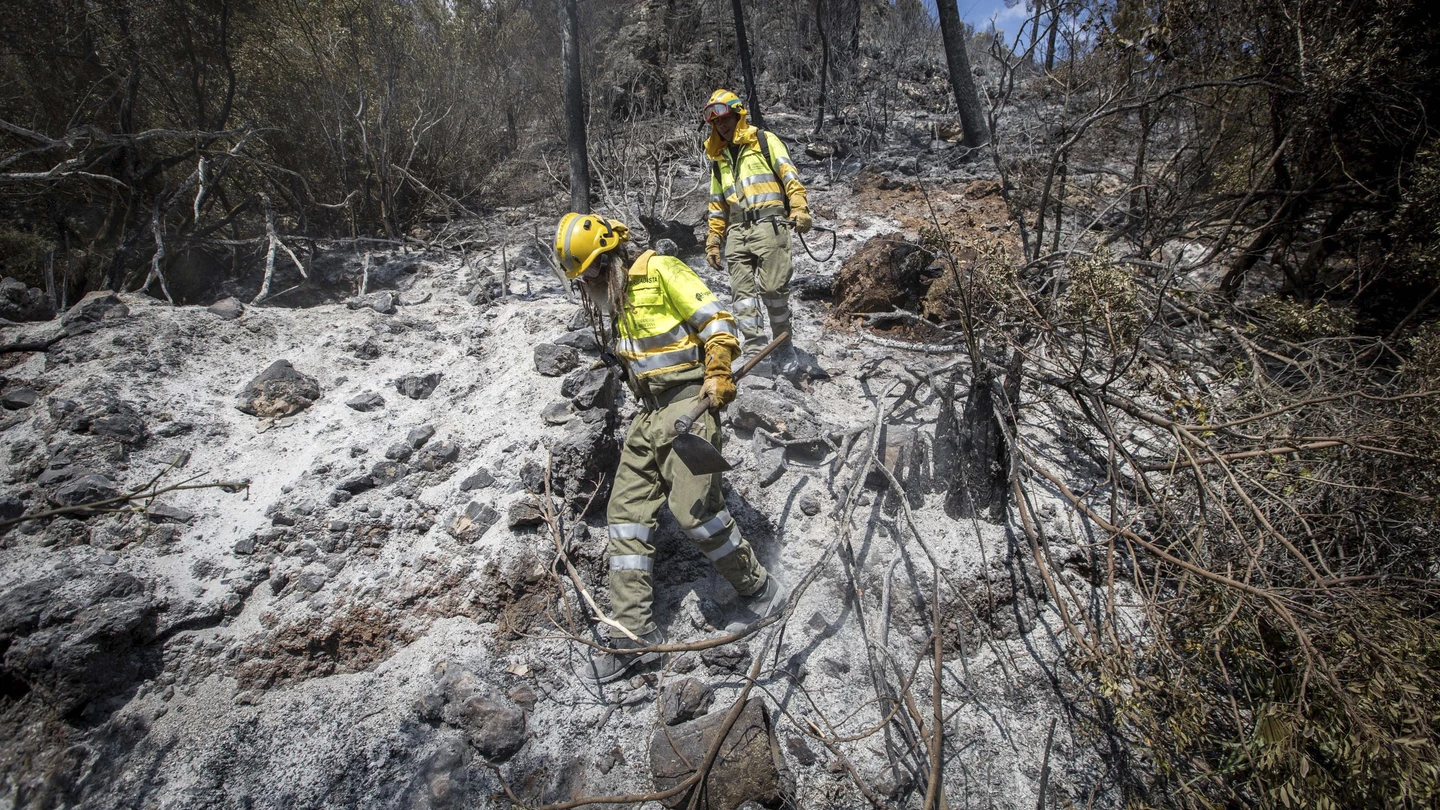 El fuego ha arrasado más de 2.000 hectáreas El fuego ha arrasado más de 2.000 hectáreas