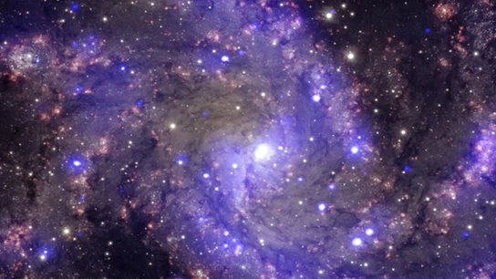 Universo Universo