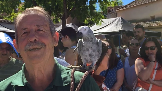 Un loro espera a Rajoy Un loro espera a Rajoy