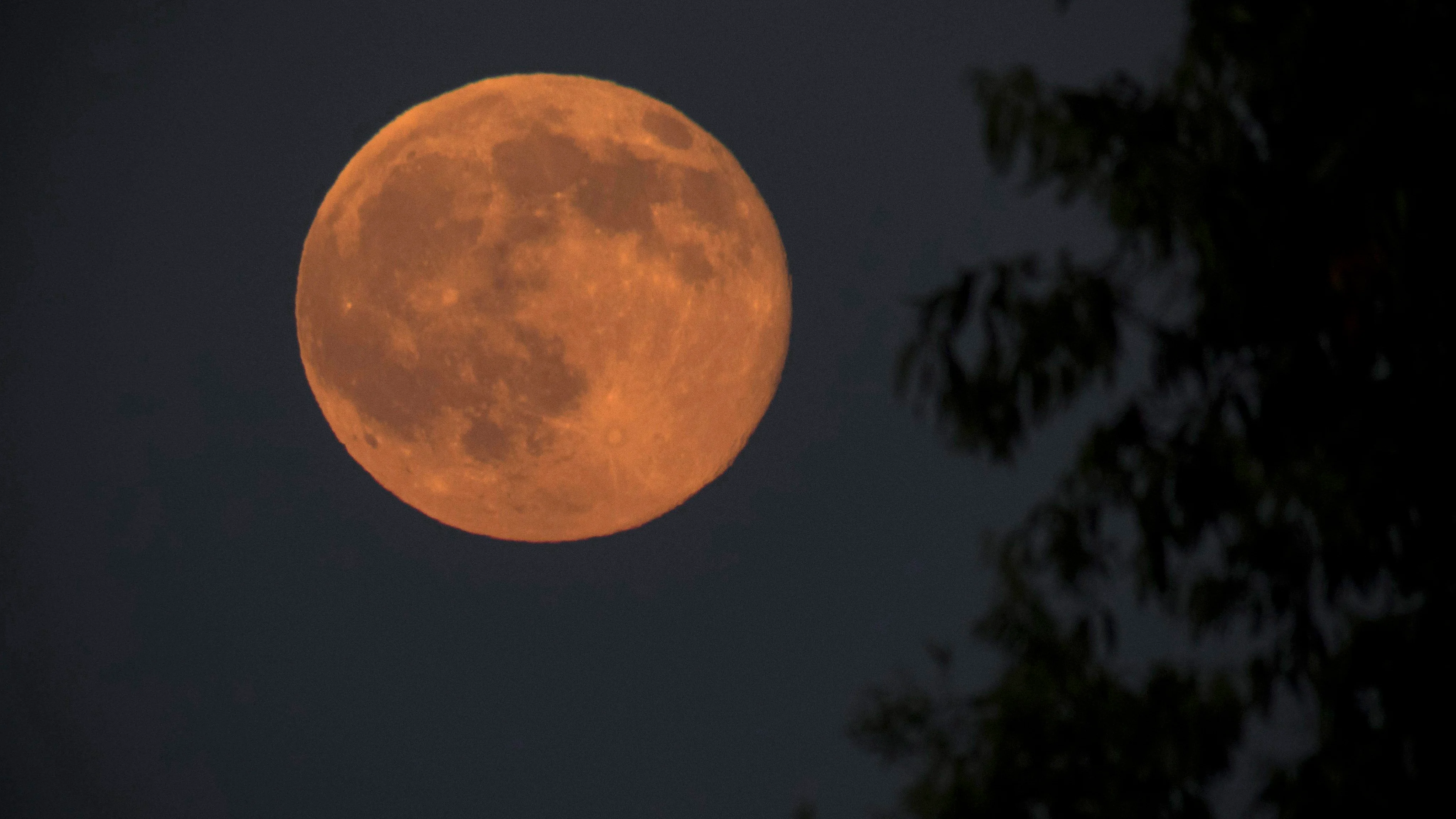 Luna llena en España: cuándo y desde dónde verla mejor